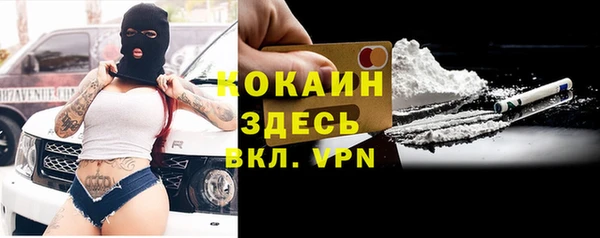 apvp Дмитриев
