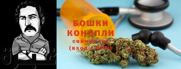apvp Дмитриев