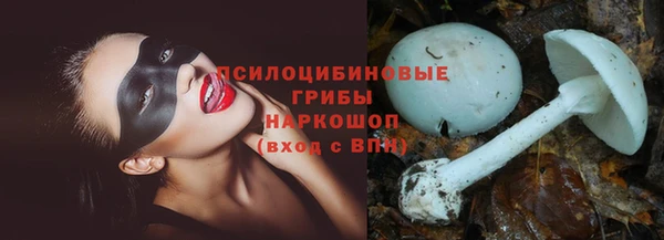 каннабис Дмитров