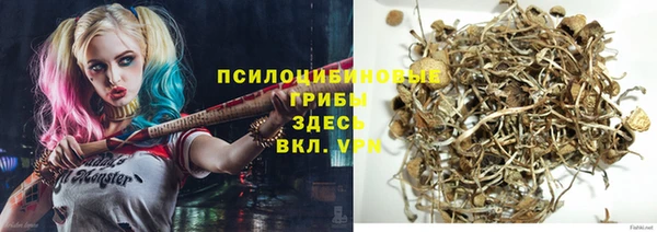 гидра Дмитровск