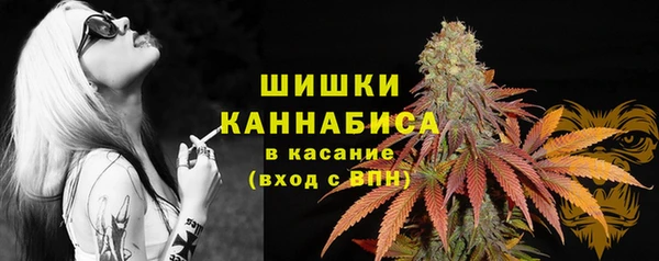 прущий лед Усмань