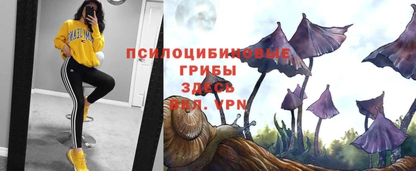 каннабис Дмитров