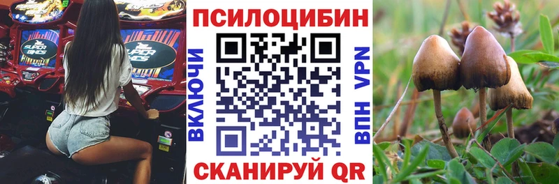Галлюциногенные грибы Psilocybe  это формула  Сасово 