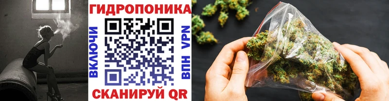 Шишки марихуана Amnesia  Сасово 